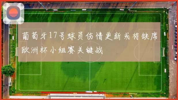 葡萄牙17号球员伤情更新或将缺席欧洲杯小组赛关键战