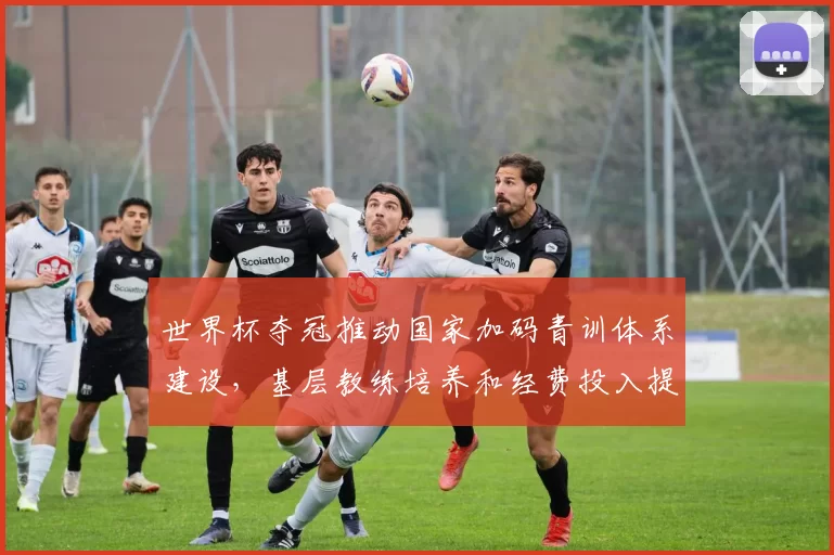 世界杯夺冠推动国家加码青训体系建设，基层教练培养和经费投入提速